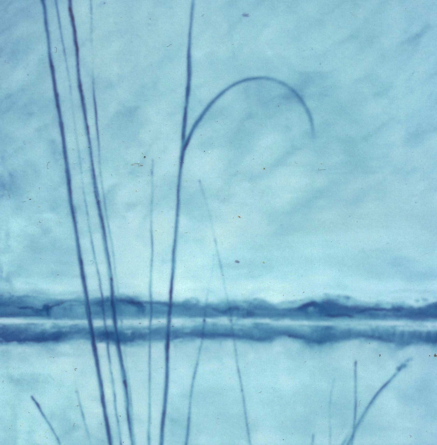 Febbraio-2000-olio-su-tela-80x100-Denise-Gemin-detail01-1