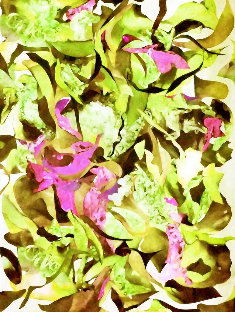 Nature telling digital artwork 2023