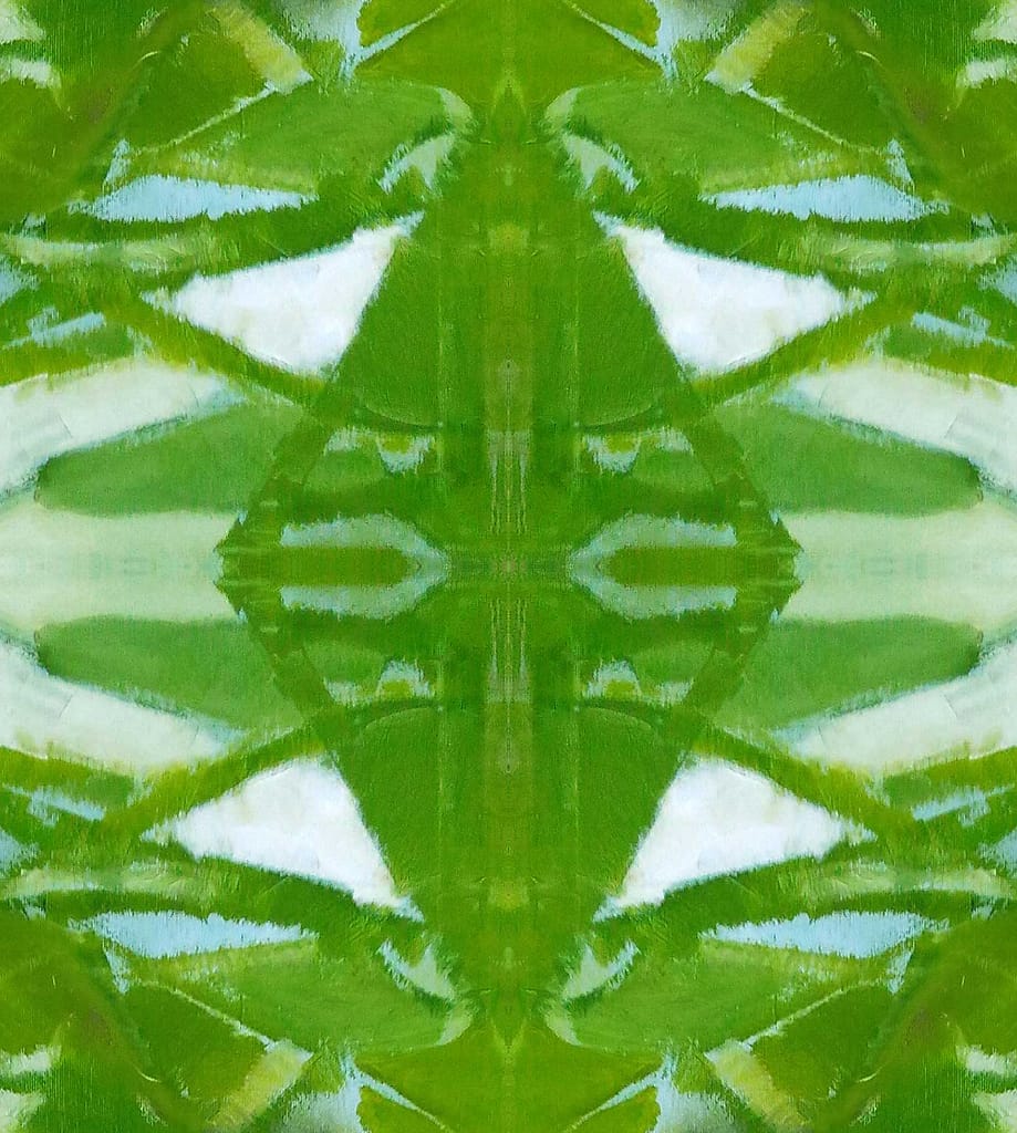 Digital art | The balance of opposites
bird flight fraction 4-1
denise gemin 2023